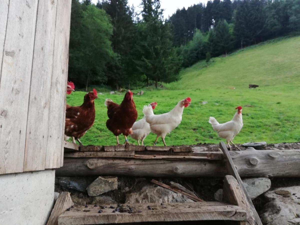 Apartmán Boeglerhof Uderns Exteriér fotografie